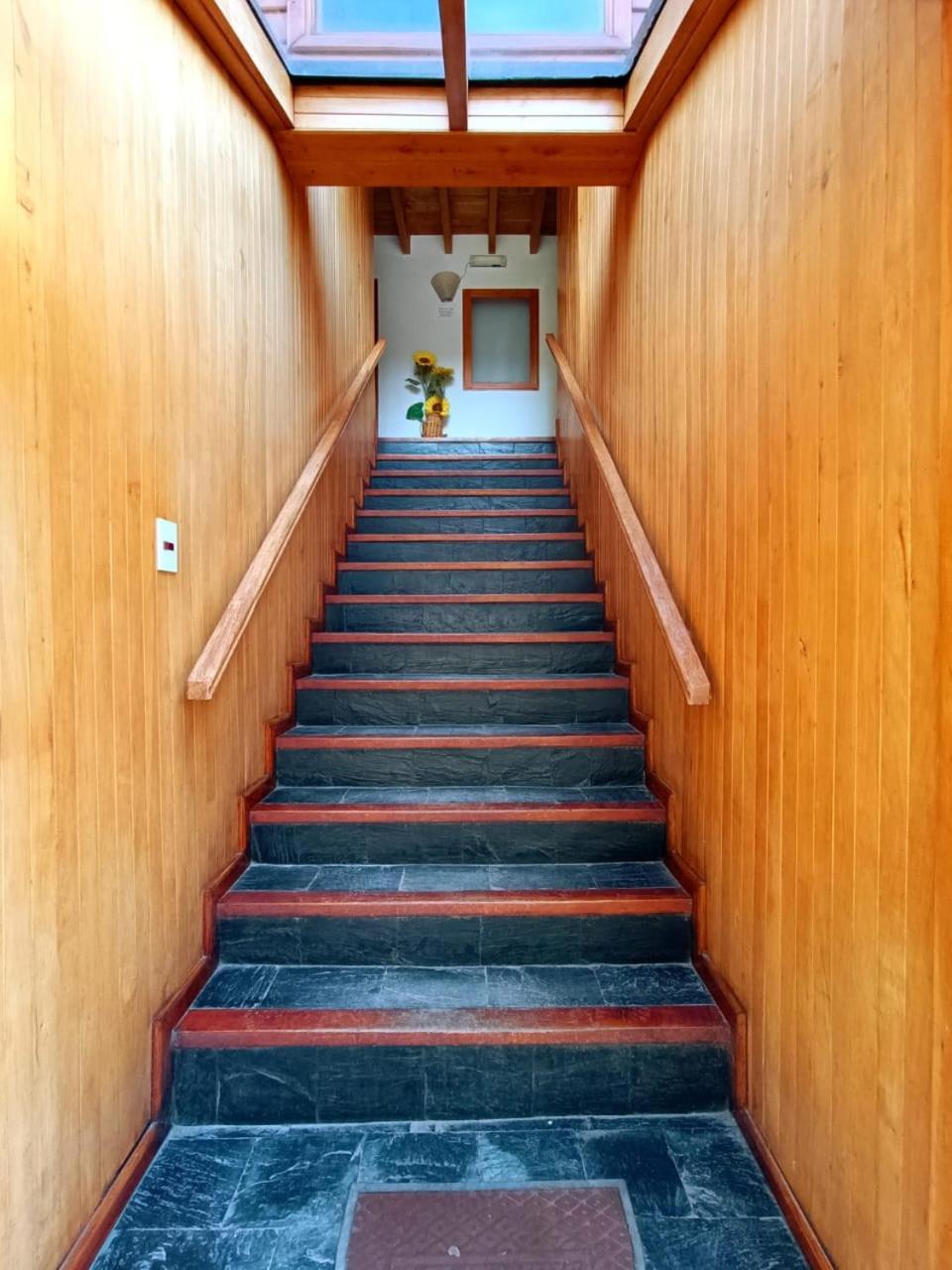 Apart Hotel Del Pellin San Martín de los Andes Dış mekan fotoğraf